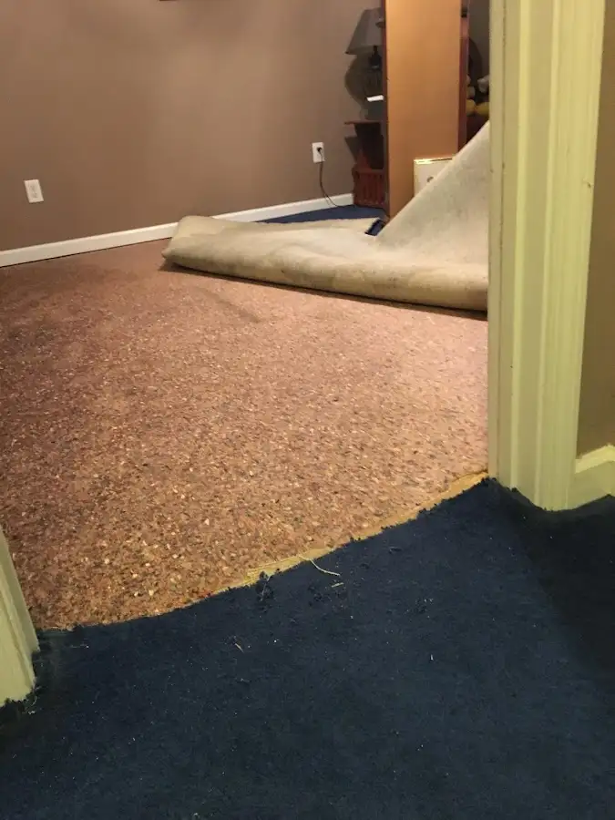 Carpet pad removal revealing water damage during Drying & Dehumidification in North Bergen